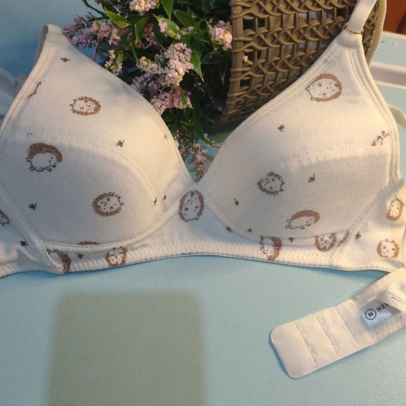 BRA anak step 3 Nevada