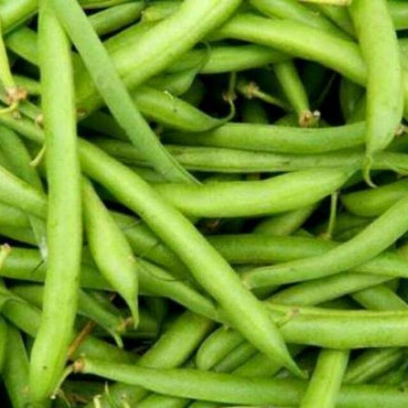 

buncis segar (100gr)