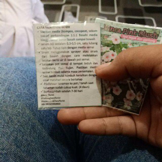 Cabe Rawit Pedas - 15 Benih