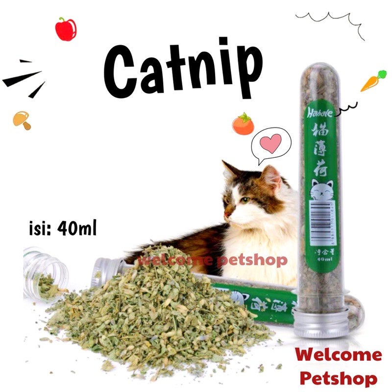 Catnip Kucing / Cat Mint / Daun Catnip / Kebutuhan Kucing Cat Nip