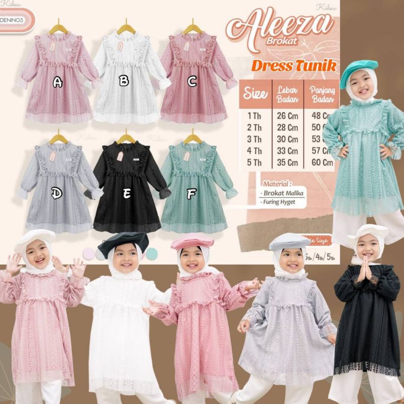 Dress Aleeza