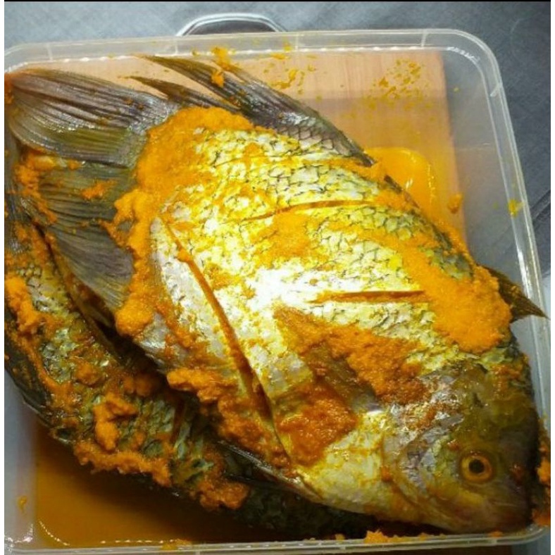 

Gurame bumbu kuning 300-400 gram harga promo
