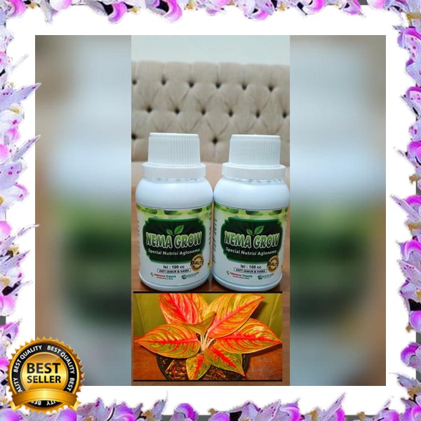 NEMA GROW NUTRISI VITAMIN AGLONEMA READY