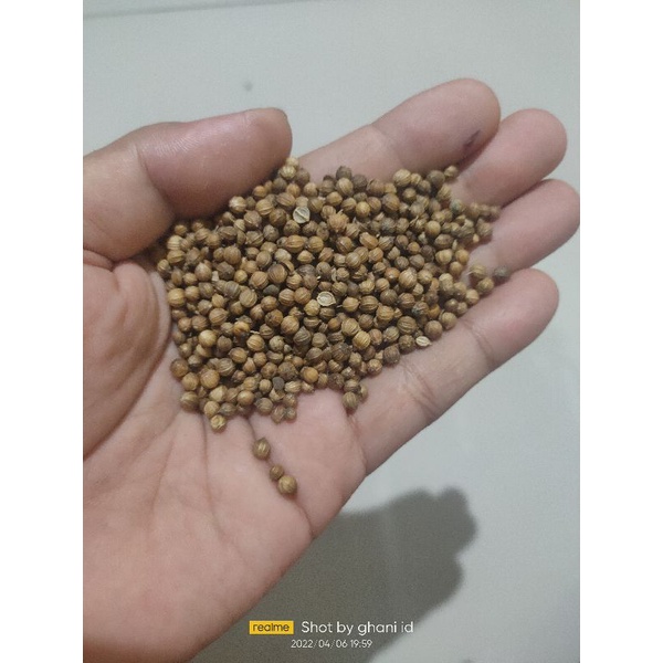 

Biji ketumbar hitam asli 1 kg | Ketumbar ori 1000 gram | untuk obat herbal