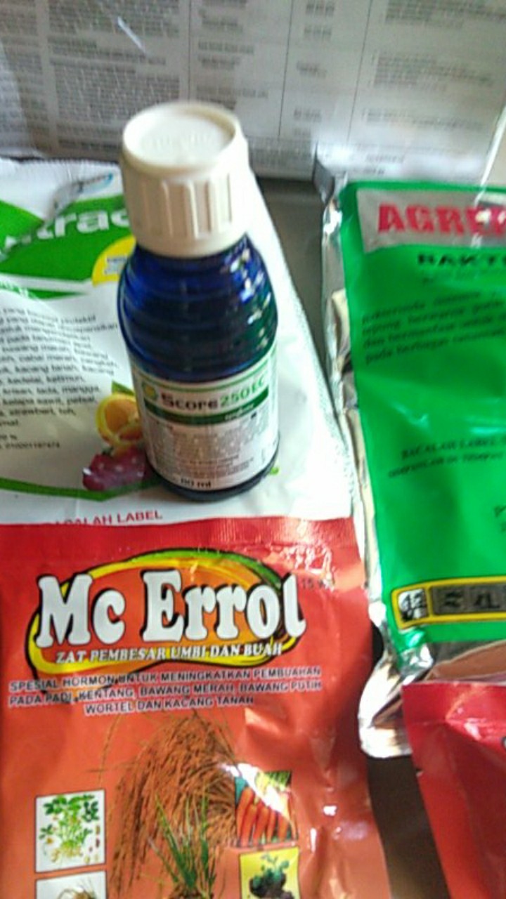 Score 250 Ec Fungisida + Zpt Score Pengendali Penyakit Tanaman 80 Ml