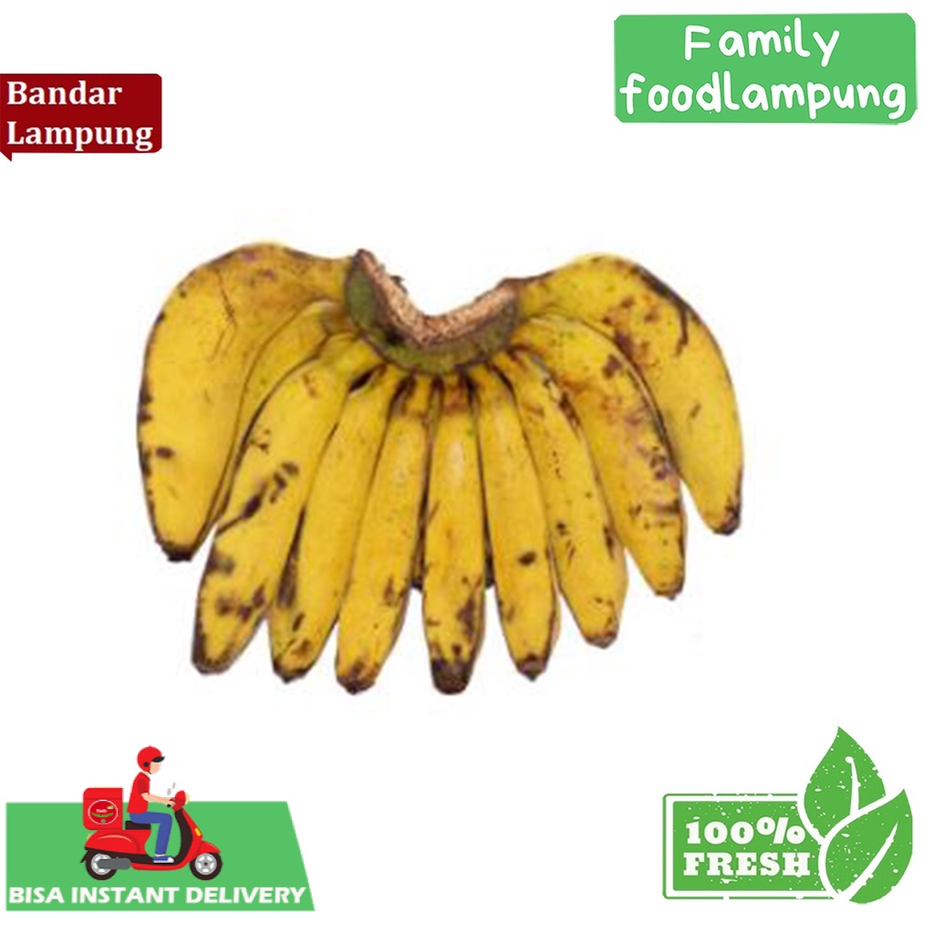

Family Food Lampung Pisang Raja 1 sisir