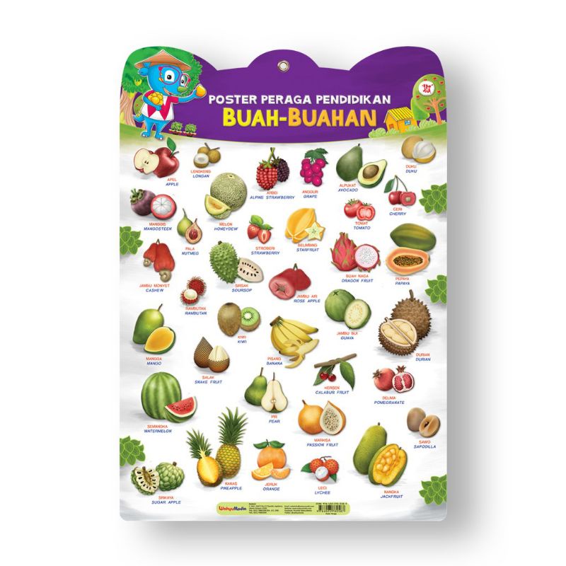 

POSTER PERAGA PENDIDIKAN BUAH BUAHAN