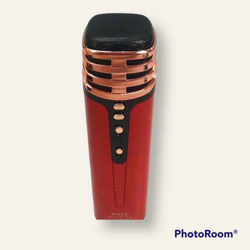 MIC WIRELESS MICROPHONE KARAOKE WS-838