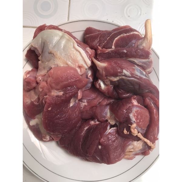 

Daging Paha Kambing Murni Segar 1 Kg