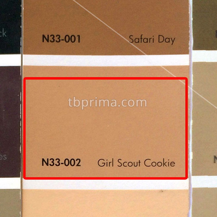 No Drop Tinting N33-002 Girl Scout Cookie 1 kg