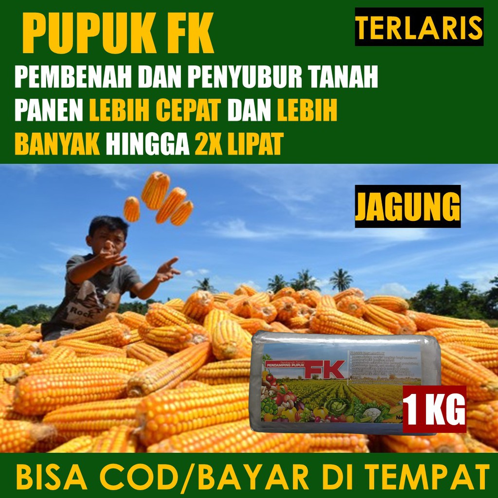 Jual PROMO Pupuk Pelebat Jagung FK, Obat Pembenah Dan Penyubur Tanah ...