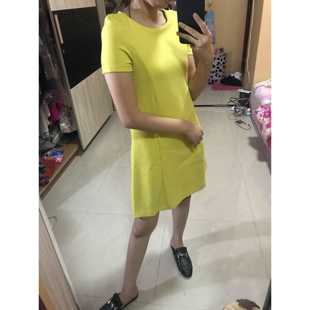 Zara Trafaluc Dress