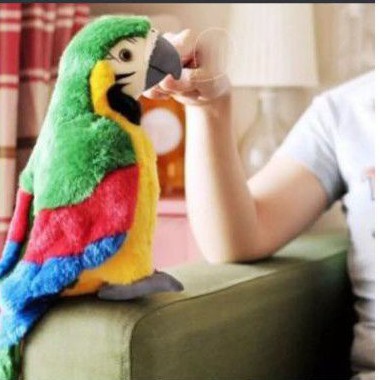 Mainan Anak Burung Berbicara , Smart Talking Bird Beo - Funny Bird Beo