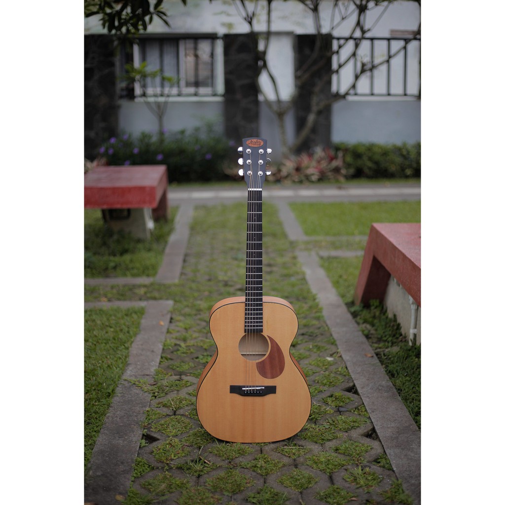 ORIGINAL GITAR Lesley RM 20-DN