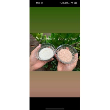 

Beras Pink atau Pink Rice kemasan 2,5kg