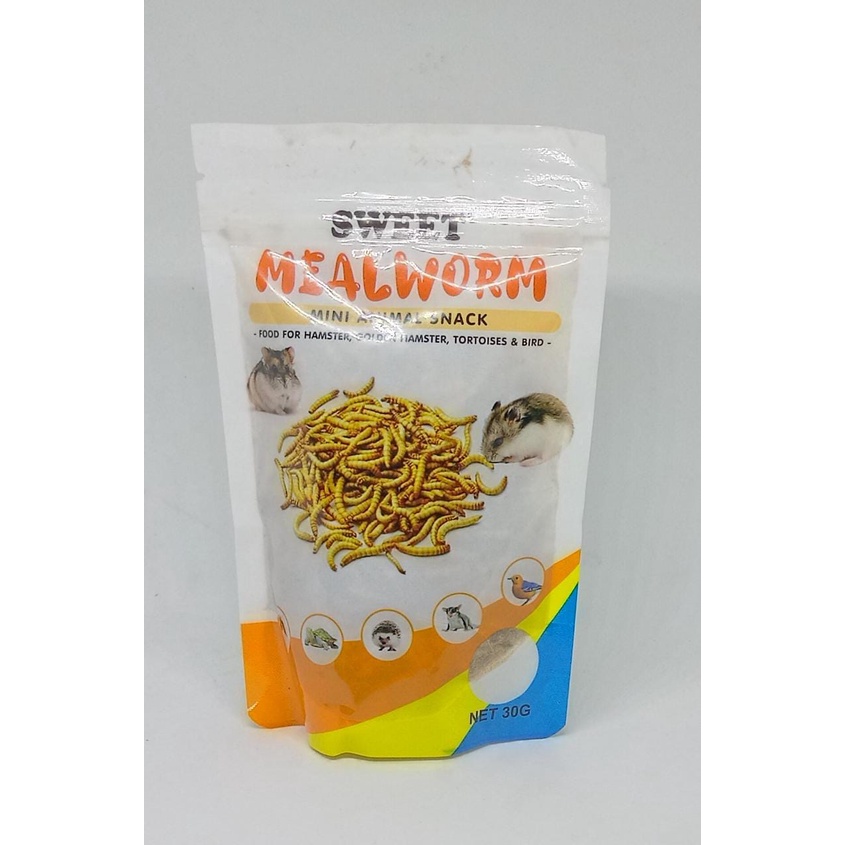 Mealworm - Ulat Hongkong Kering Makanan Hewan