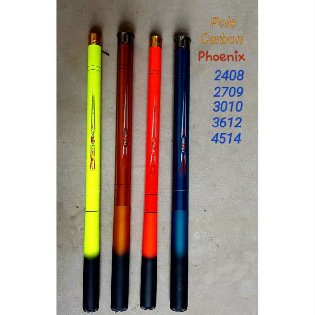 Joran Tegek Pole Carbon Utecate Phoenix 240 cm