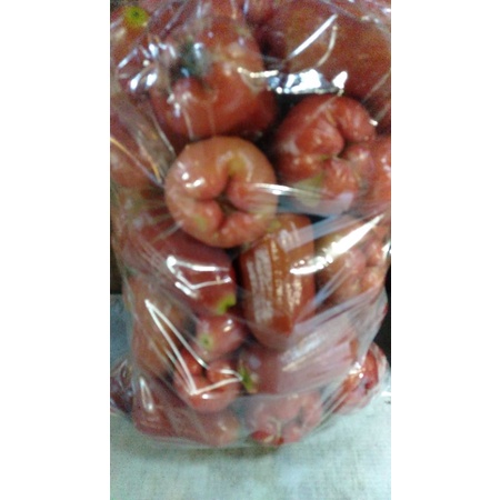 

Klampok Citra minim order 2kg@