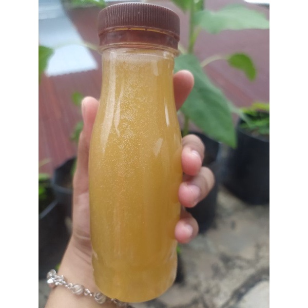 

Madu lebah trigona/klaceng/galo2 asli hasil peternakan Sendiri.
