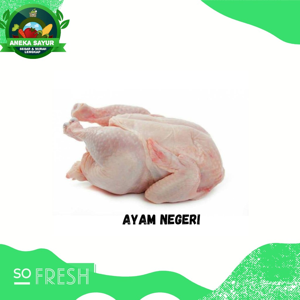 

Ayam Negeri Segar