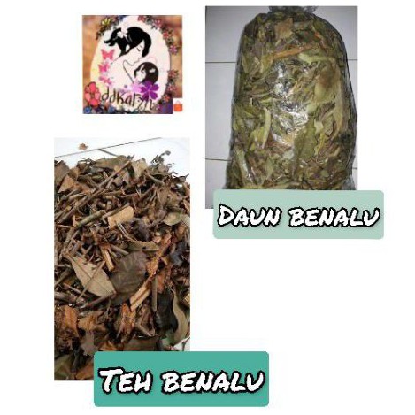 

1 kg Teh Benalu/Daun benalu kering