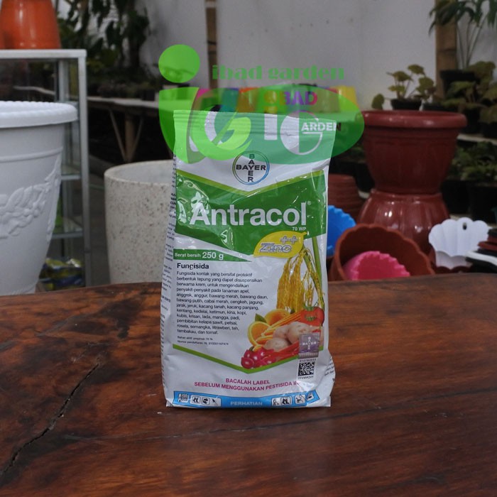 Pupuk Pembasmi Hama Jamur Untuk Tanaman Hias Fungisida Merk Antracol Shopee Indonesia