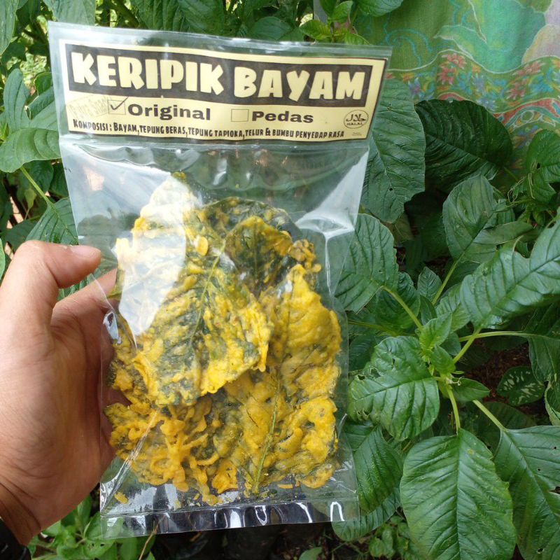 

KERIPIK BAYAM/PEYEK BAYAM KRIUK