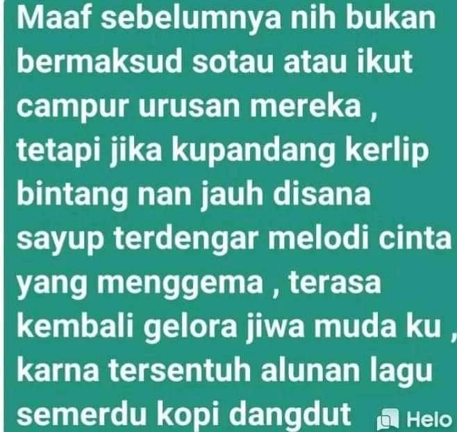 Tanaman Hias Caladium White Christmas