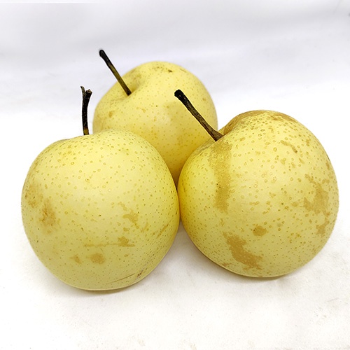 

Pear Century / Sweet Pear