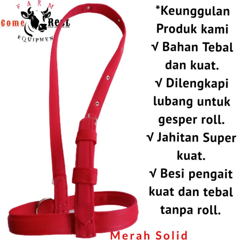 Head Halter Sapi Warna