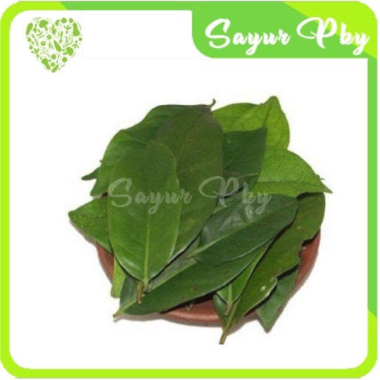 

Daun Salam 25 gr