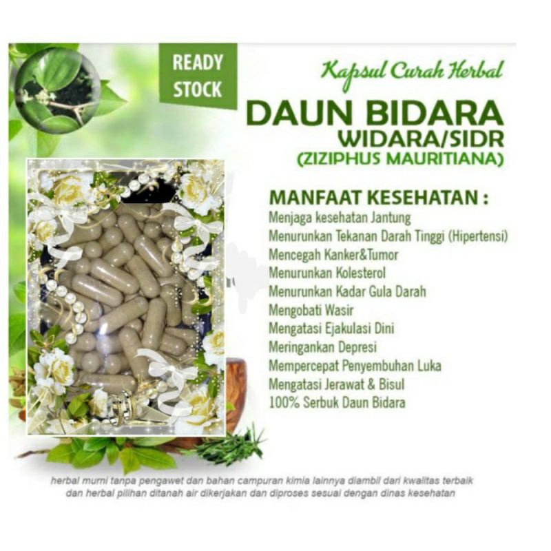 DAUN BIDARA KAPSUL