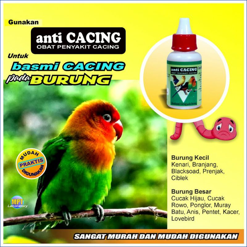 OBAT ANTI CACING BURUNG OBAT PENYAKIT CACING PADA BURUNG