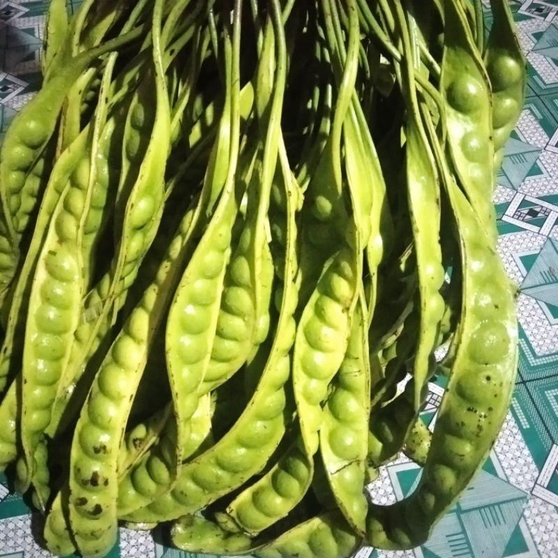 

Petai Pete lonjor SUPER