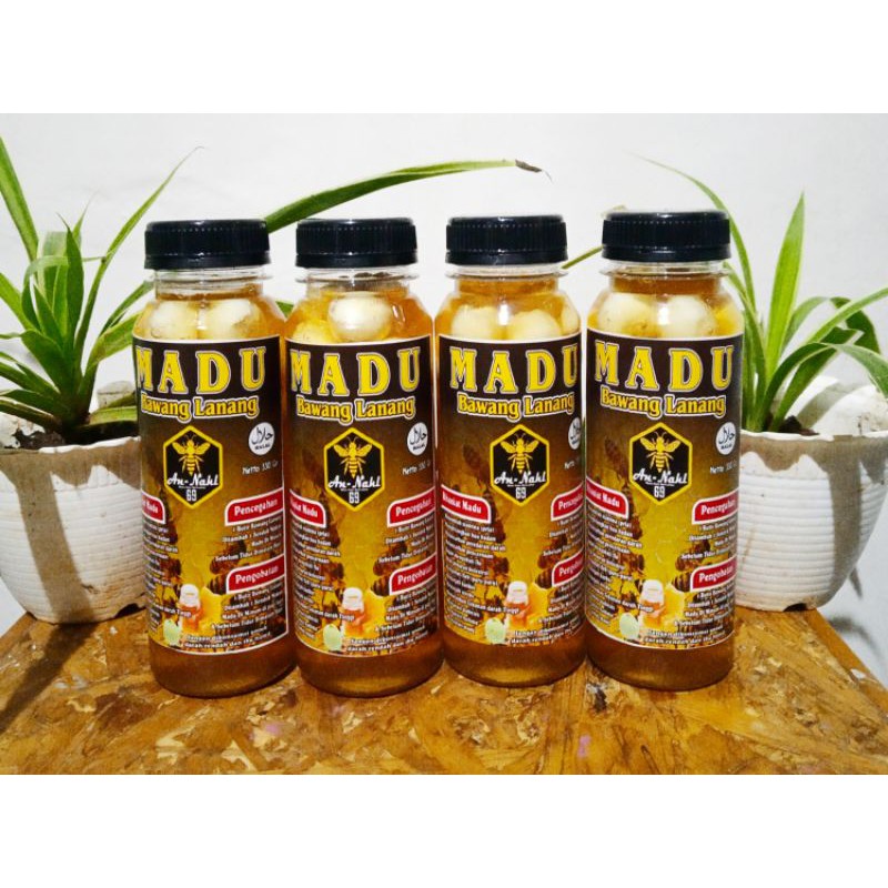 

Madu bawang lanang