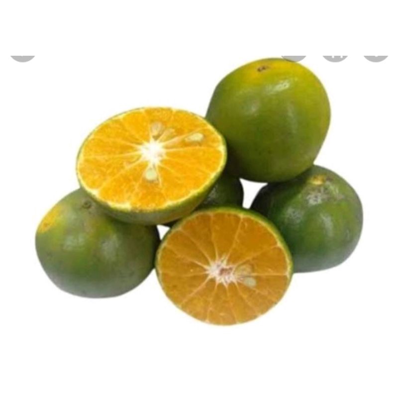 

buah jeruk lokal