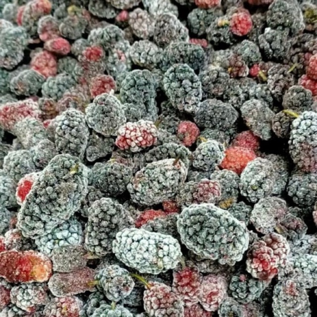 

Blackberry murah blackberry frozen beku