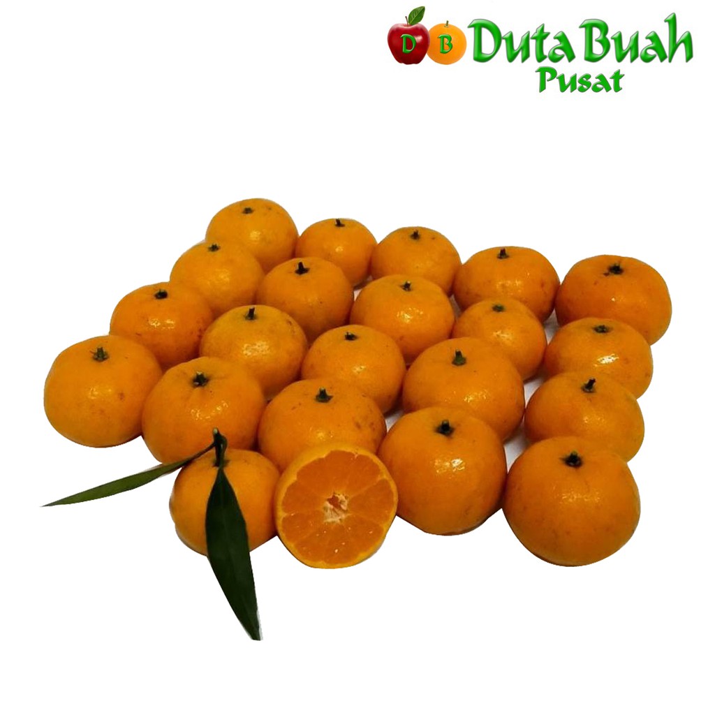 

DUTA BUAH Jeruk Santang Daun Super (+-0.9g-1kg)