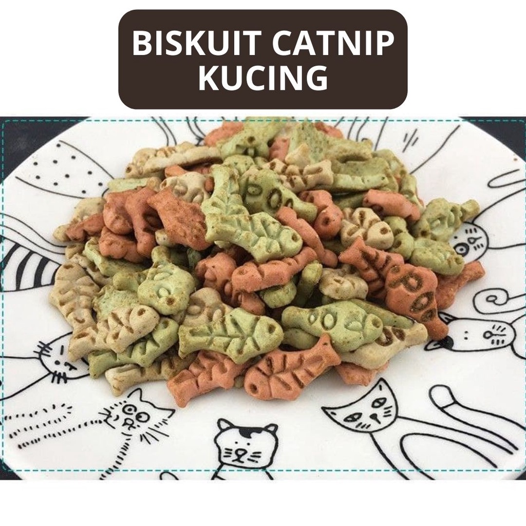 Snack Biskuit Catnip Dengan Aneka Rasa Khusus Buat Kucing FEZONE