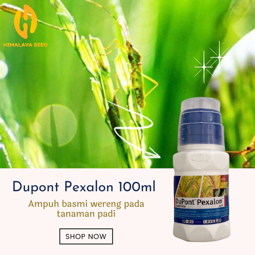 Dupont Pexalon 100ml Pembasmi Hama Wereng