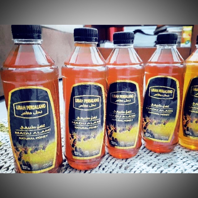 

Madu Lebah Petualang