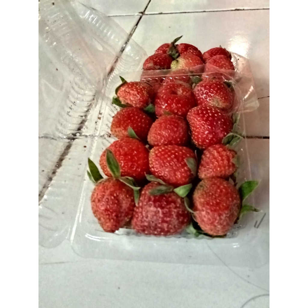 

buah strowbery murah segar per mika 250 gram