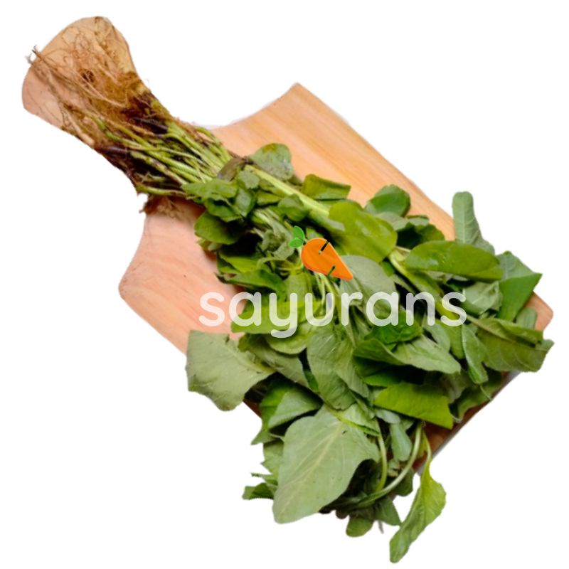 

SAYURANS Bayam Isi 2-5 Ikat