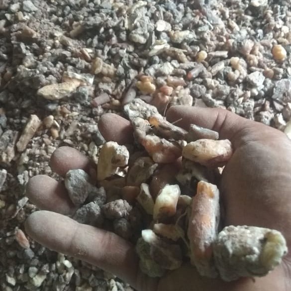 Kemenyan Styrax Gum Benzoin Asli Tapanuli TAHIR MADU Kering 1000 gram
