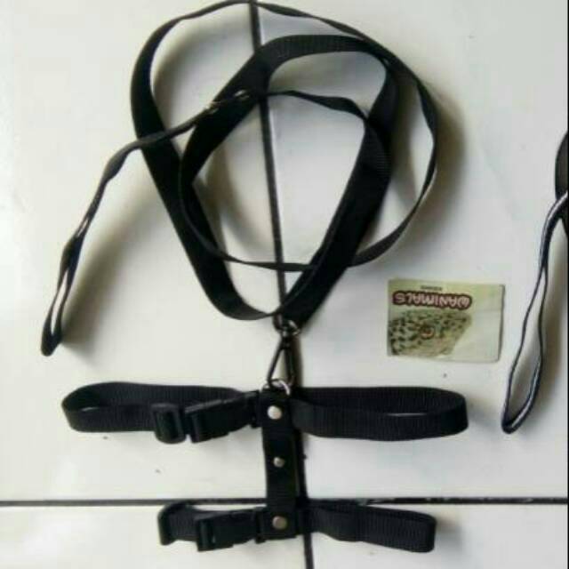 Harnes besar untuk kucing anjing kecil musang salva jumbo.