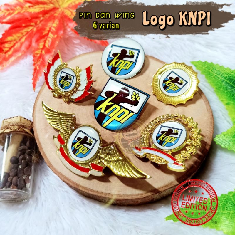 PIN LOGO KNPI