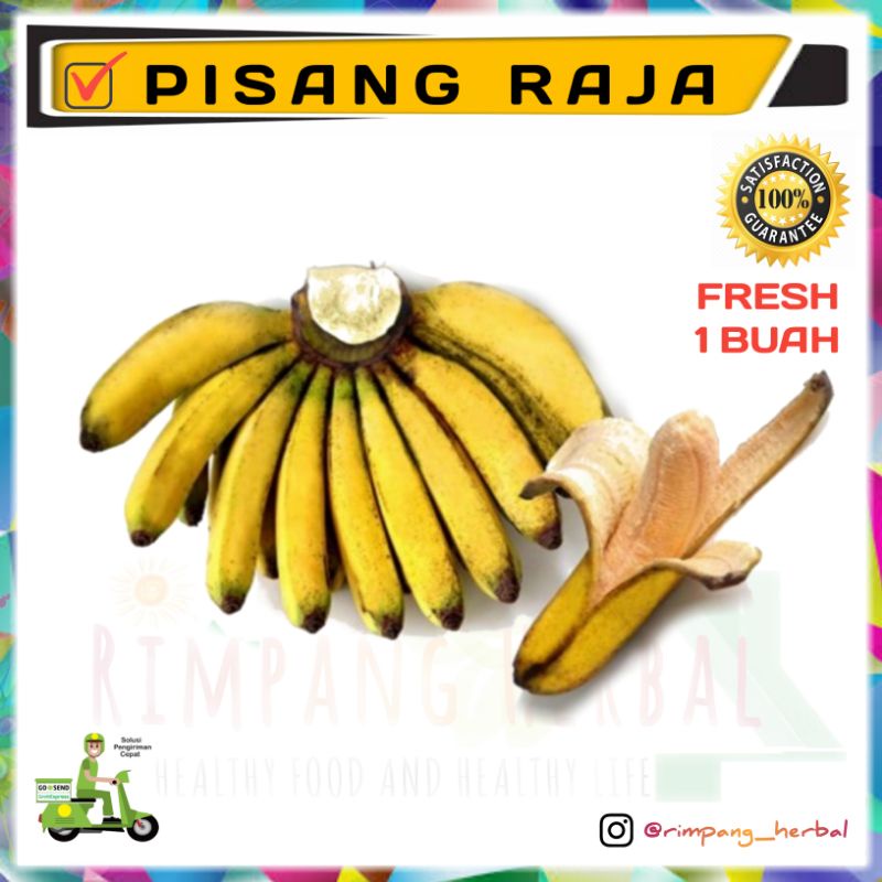 

Pisang | Pisang raja | Buah segar | Bergaransi