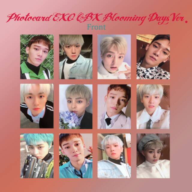 [READY / SET] SET EXCK CBX BLOOMING DAYS FAN MADE UNOFFICIAL YANGPASHOP SEHUN CHANYEOL BAEKHYUN