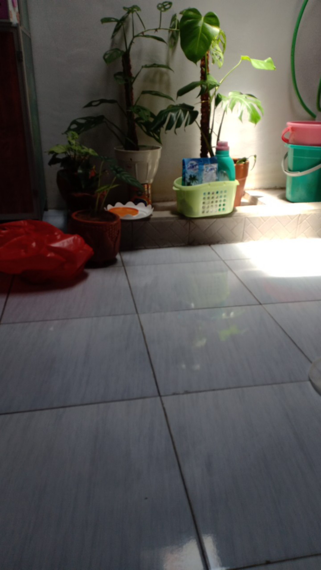 Kuali / Wajan Harden Stainless Steel 40cm Golden Flying Fish