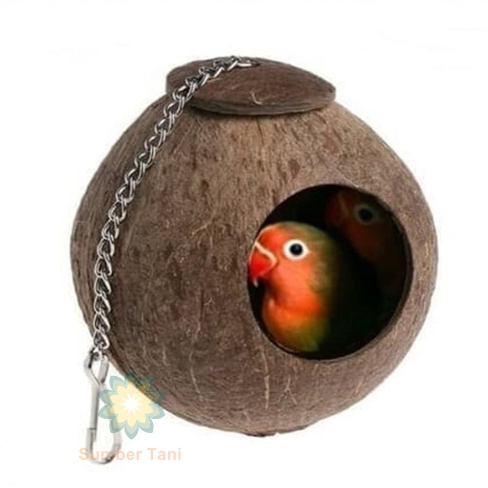 Glodok/Kandang/Sangkar Lovebird Glodok Batok